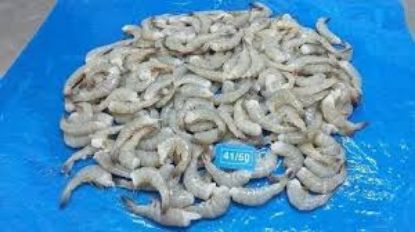 Picture of Captn/'S Pack 41/50 Farm Raised White Vannamei Shrimp 2 Lbs