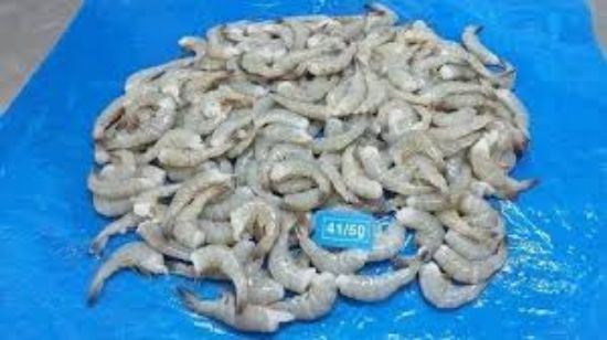 Picture of Captn/'S Pack 41/50 Farm Raised White Vannamei Shrimp 2 Lbs