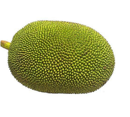 Picture of Jack Fruit (Green) 1 Lbs