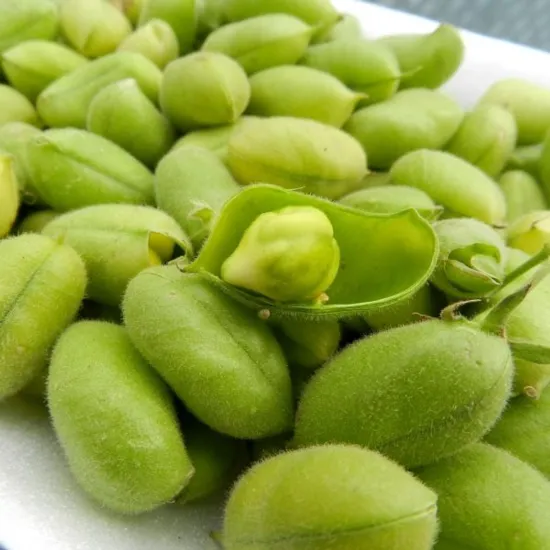 Picture of Green Chana 1 Lbs