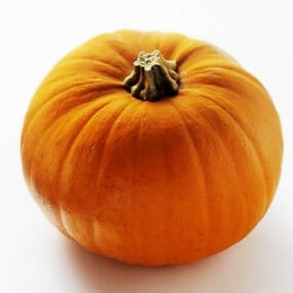 Picture of Pumpkin Yellow 1 Lbs