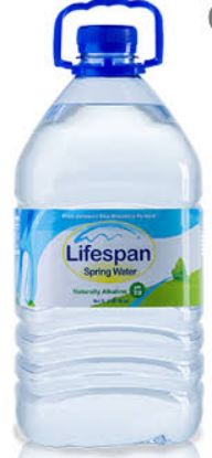 Picture of Lifespan Spring Water 5 Lt