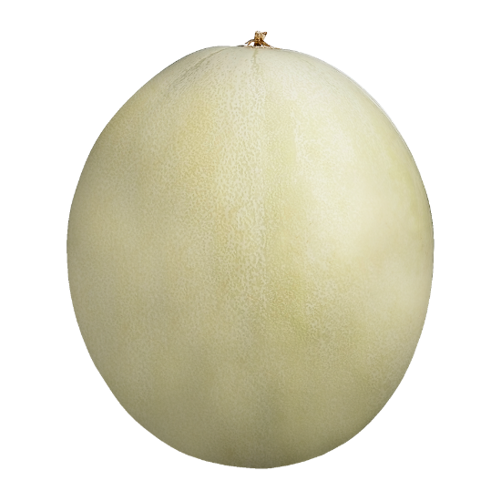 Picture of Melon Honeydew 1 Lbs