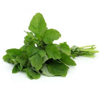 Picture of Amaranth Leaves (Green) Verde 1 Pcs