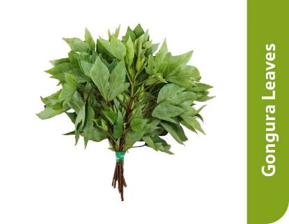 Picture of Gangura Leaves 1 Pc
